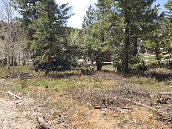 5th image of 580 S Scenic Dr
