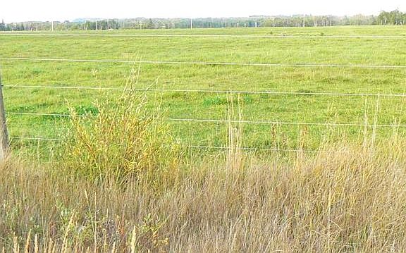2nd image of 394075 Range Road 5