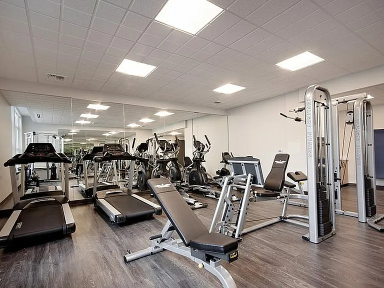 Elevate Your Workout Routine