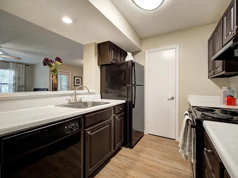 Grande Oasis at Carrollwood — Photo 9