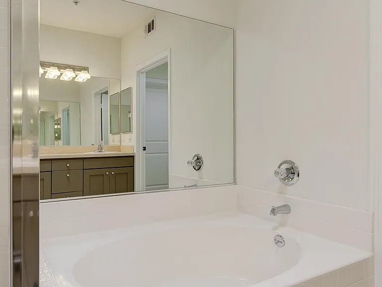 Primary bath in 2 bedroom apartment