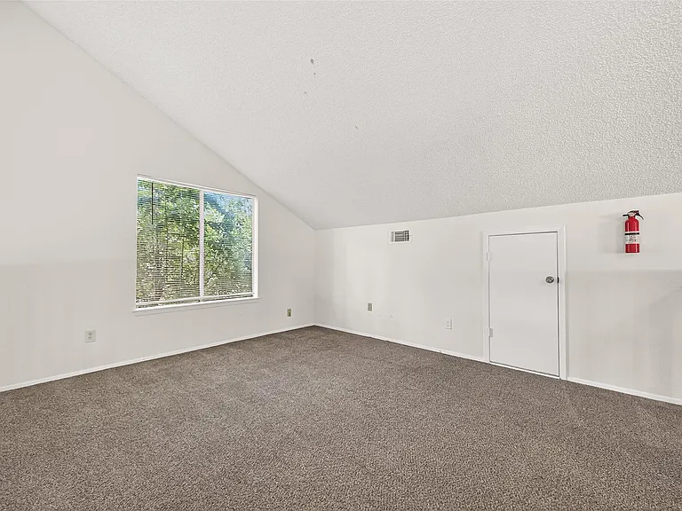 6203 Downwood Forest Dr — Photo 37
