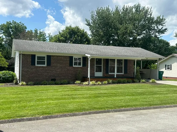 106 Buffalo Ct, Erwin, TN 37650
