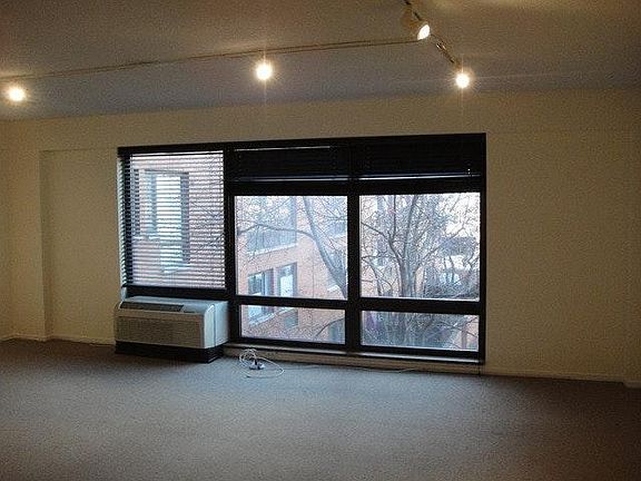 5th image of 1169 S Plymouth Ct APT 306