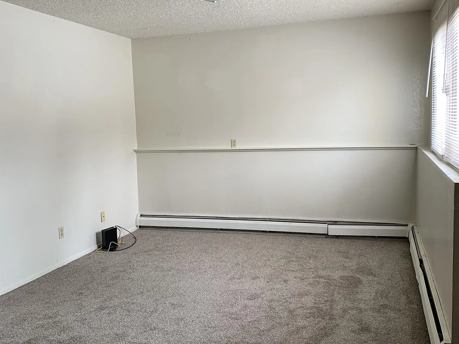 1101 Downey Street - 8 — Photo 4