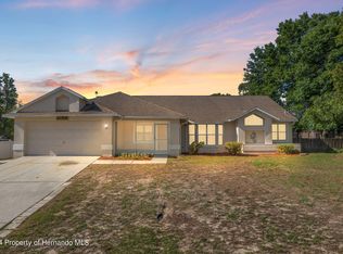 11318 Dean St, Spring Hill, FL 34608