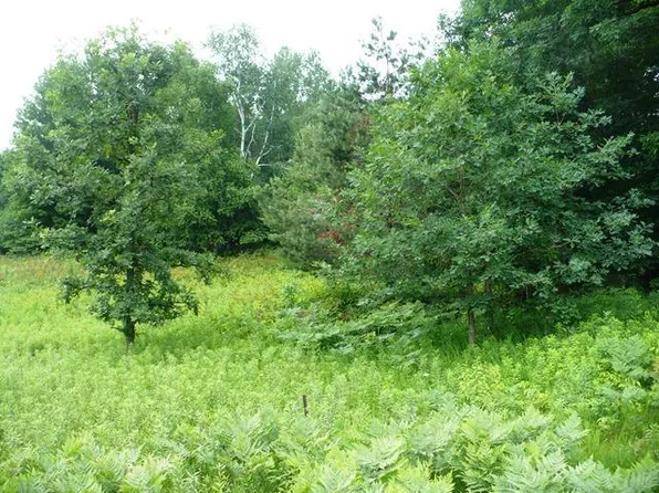 N9986 COUNTY ROAD M, Thorp, WI 54771