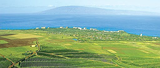 1st image of Lot 13 Kaanapali Coffee Farms
