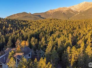 1997 Big Owl Rd, Allenspark, CO 80510