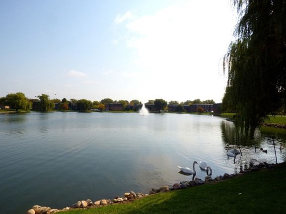 4th image of 9384 Bay Colony Dr #1S
