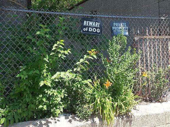 3rd image of 644 Taylor Ave