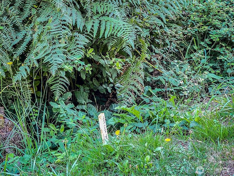 4th image of 999 Cape George Rd