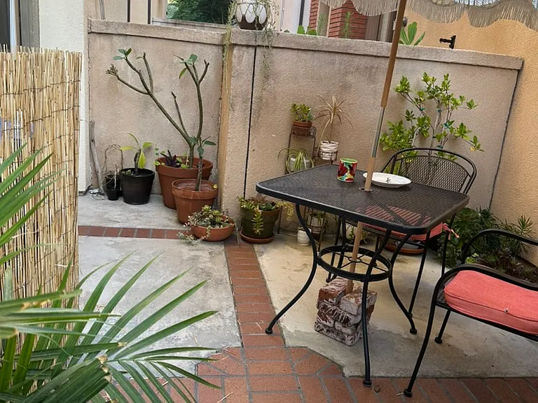 Back patio