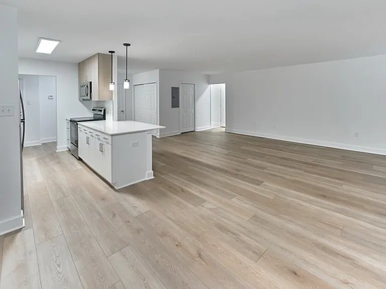 Plank flooring through out