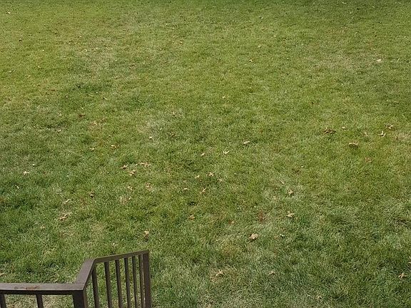 3rd image of 9127 Coogan Dr