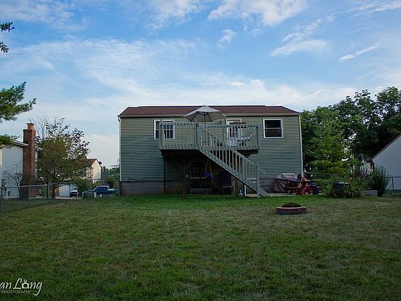 Backyard 1