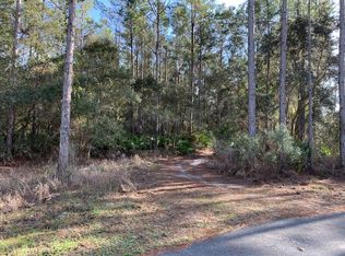 Bird Pond Rd, Steinhatchee, FL 32359