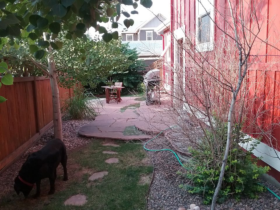 Side yard & patio