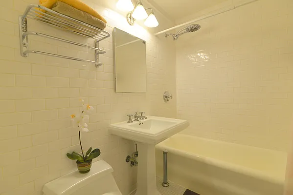 Sold by Carol E Levy | media 4