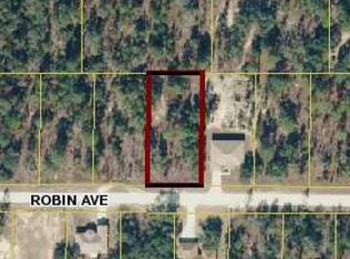 12497 Robin Ave, Weeki wachee, FL 34614
