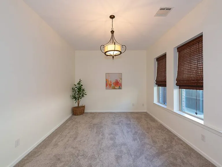 1008 Lone Ivory Trl — Photo 14