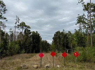 24265 Rocky RD, BONITA SPRINGS, FL 34135