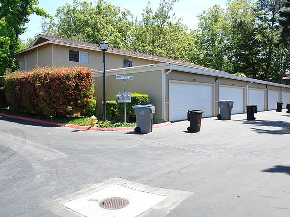 4th image of 3304 Mosscreek Ln