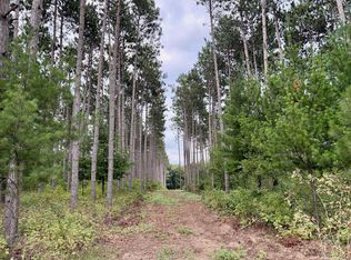 Tulip St NW, Stanchfield, MN 55080