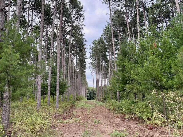 Tulip St NW, Stanchfield, MN 55080