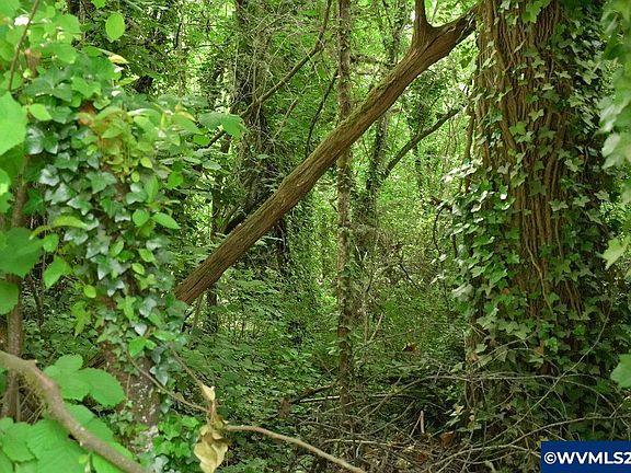 4th image of 0 Schurman Dr S