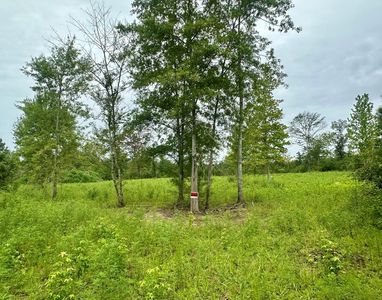 Bahalia Rd NE, Wesson, MS, 39191