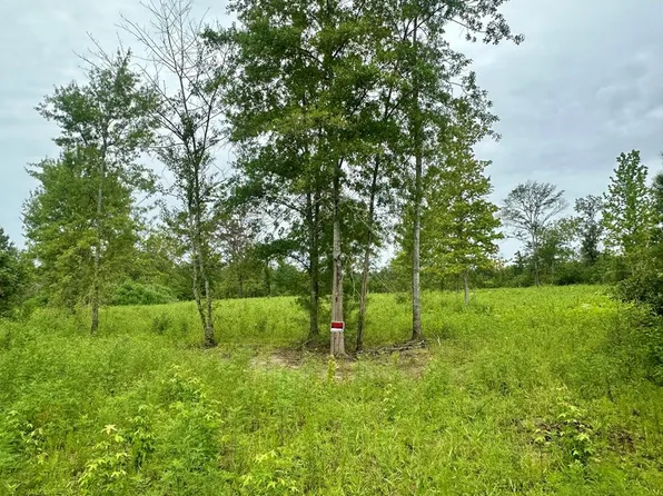 Bahalia Rd NE, Wesson, MS 39191