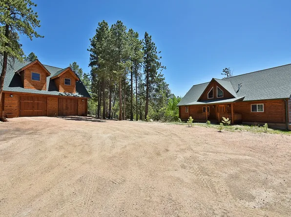 737 Trout Creek Dr, Divide, CO 80814