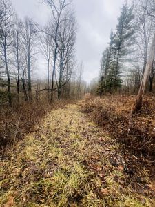 61275 Harden Rd, Mcarthur, OH, 45651