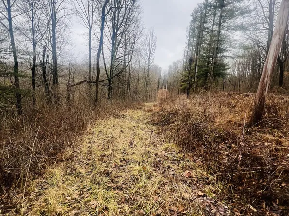 61275 Harden Rd, McArthur, OH 45651