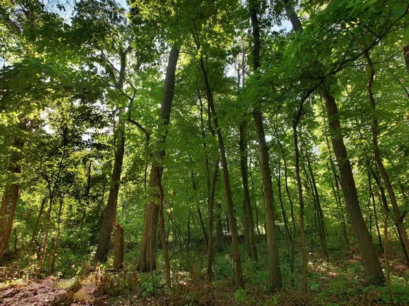 Comanche Trl, New Buffalo, MI 49117