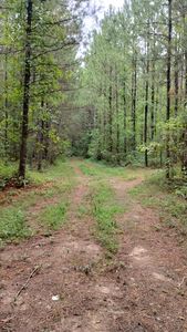 TRACT 11 Ledford Rd NE, Dalton, GA, 30721