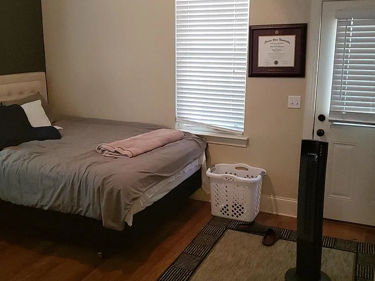 Downstairs Bedroom (#1)