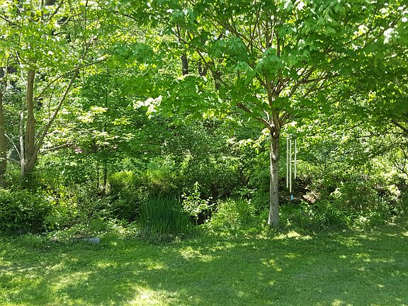 Backyard 2018