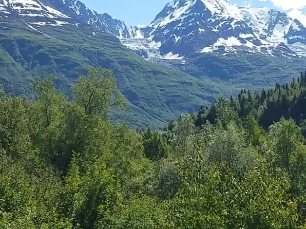 Remote No St, Valdez, AK 99686