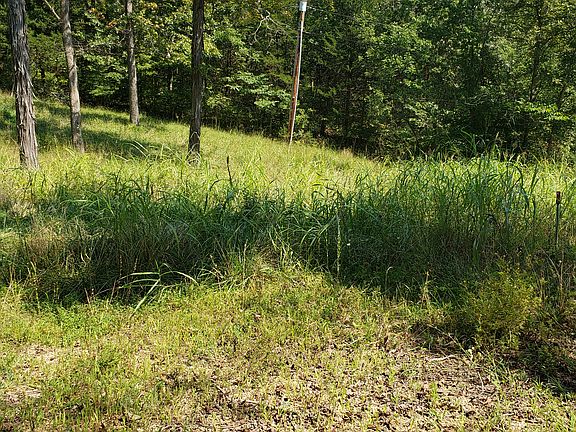 4th image of 9499 Lakeview Dr