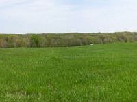 2nd image of 98 Poppy Ln
