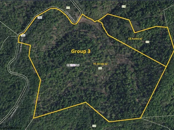 PARCEL 22 Little Rowels Run Rd, Creston, WV 26141