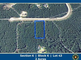 11855 Moss Grove Ct Lot 43, Willis, TX 77378