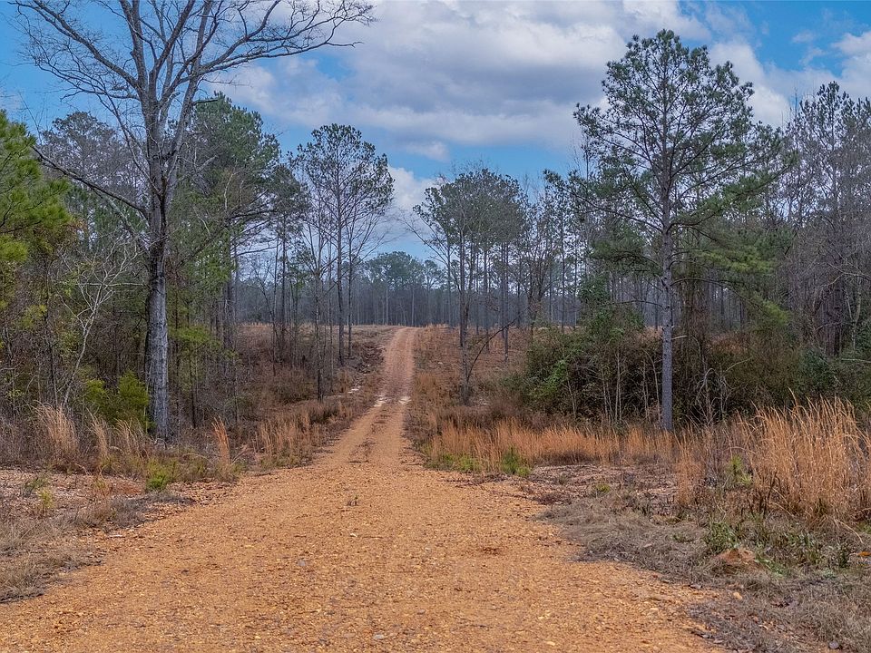 1st image of 272 Shadow Wood Ln