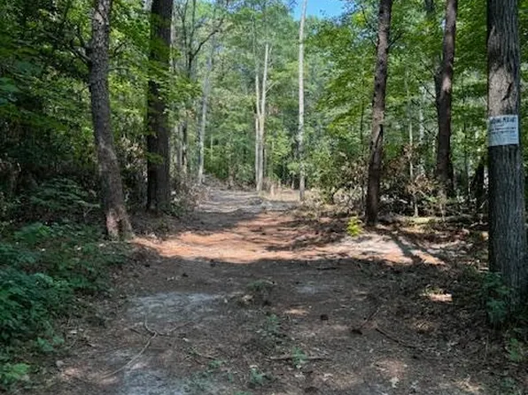 Townsend Rd, Millsboro, DE 19966