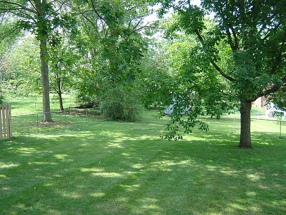 Back Lawn