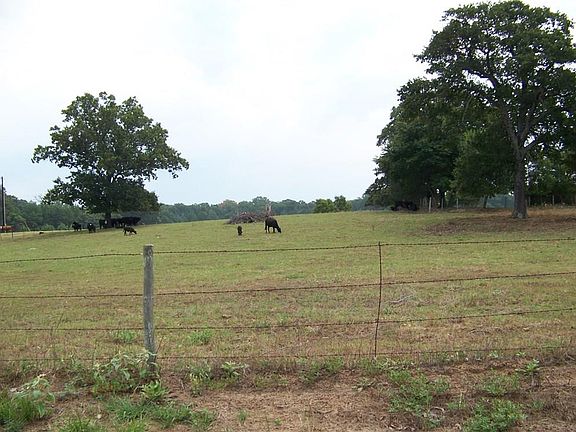 4th image of 665 County Road 3250