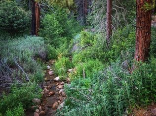 1 Fredalba Rd, Running Springs, CA 92382