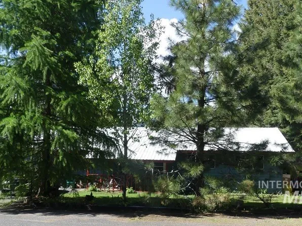 711 Saddlehorn Ln, McCall, ID 83638